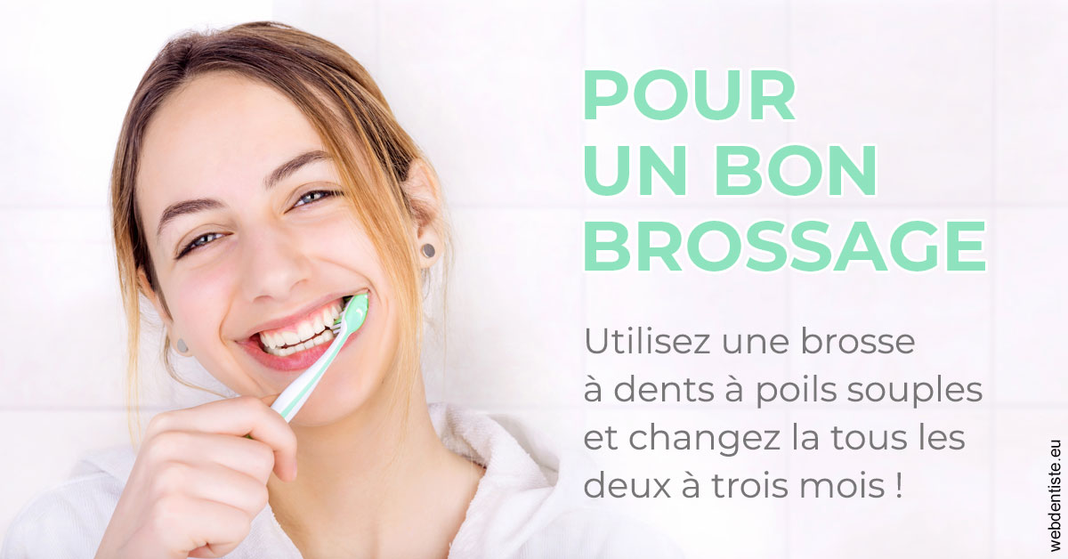 https://www.orthodontie-monthey.ch/Pour un bon brossage 2