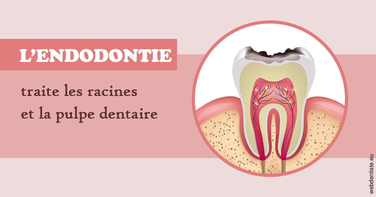 https://www.orthodontie-monthey.ch/L'endodontie 2