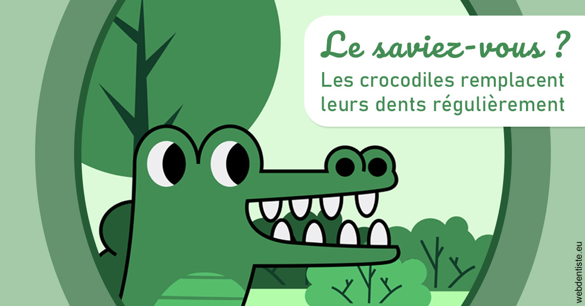 https://www.orthodontie-monthey.ch/Crocodiles 2